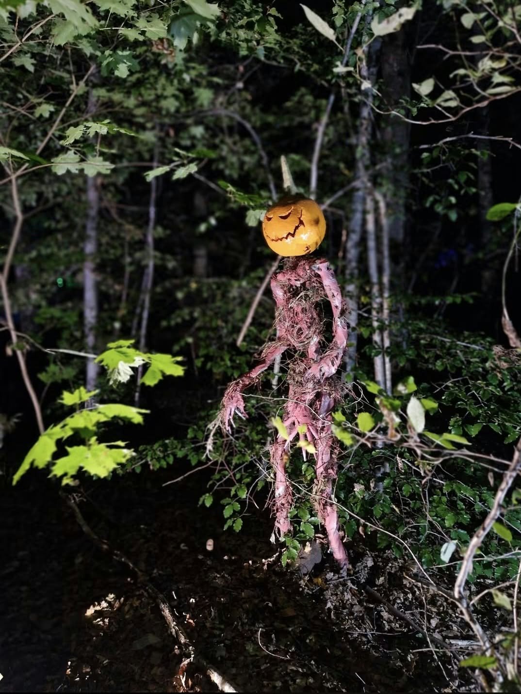 Pumpafigur i skogen på kvällen