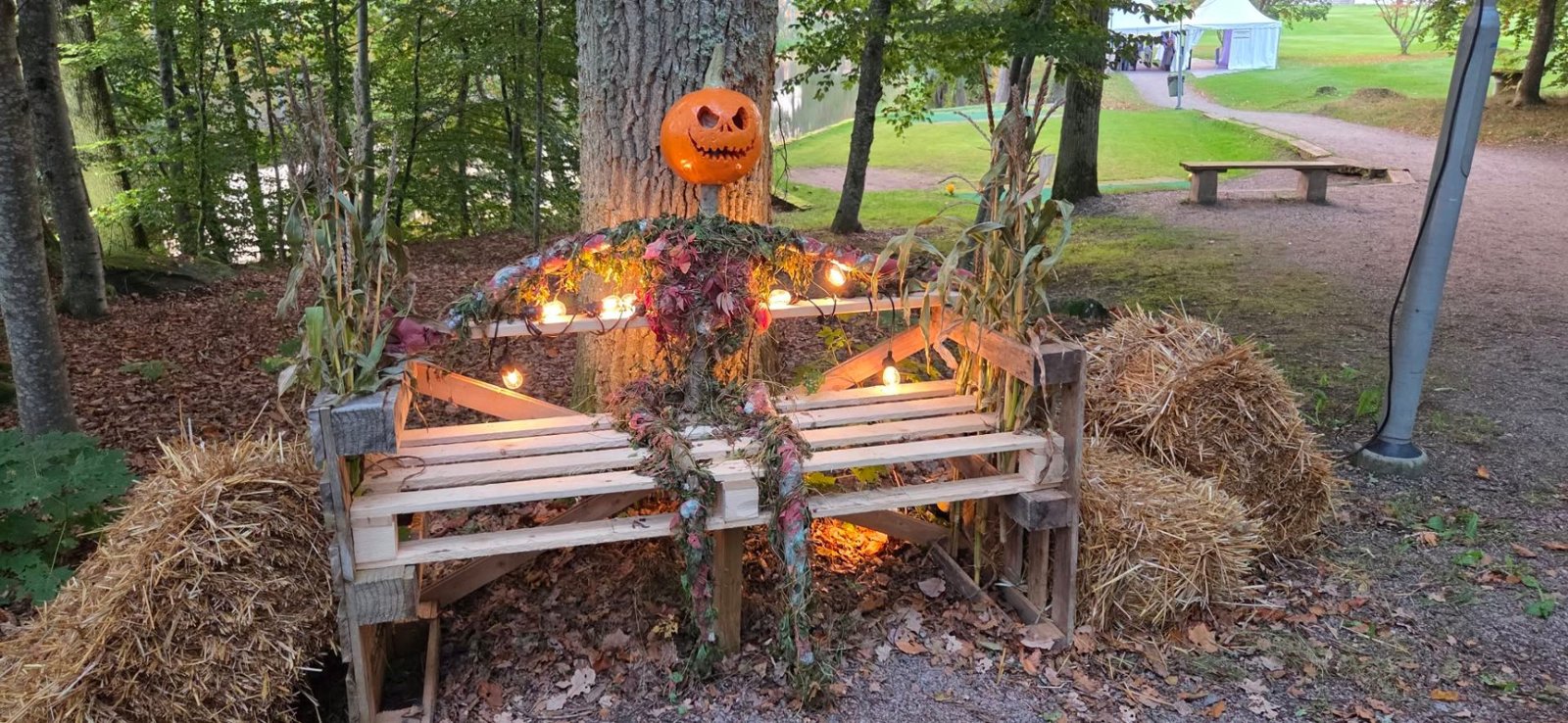 Pumpagubbe på bänk med ljusslinga
